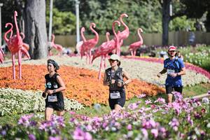 BIB: 
                            <button type="button" onclick="openModal(27793725)" class="btn btn-primary btn-sm float-right btn-popup" data-toggle="modal" data-target=".modal-high-quality">
                        <i class="fas fa-shopping-cart"></i> Add to Cart
                    </button>
                                            <button type="button" onclick="isThisMe(27793725, true)" class="btn btn-success btn-sm float-right btn-popup btn-isme hidden" data-toggle="tooltip" data-placement="bottom" title="นี่คือรูปของคุณใช่ไหม คลิกที่นี่เพื่อเอาเข้าอัลบั้ม">
                        <i class="fas fa-plus"></i> Add to album
                    </button>
                    <button type="button" onclick="isThisMe(27793725, false)" class="btn btn-warning btn-sm float-right btn-popup btn-isnotme hidden">
                        <i class="fas fa-ban"></i> Remove from album
                    </button>